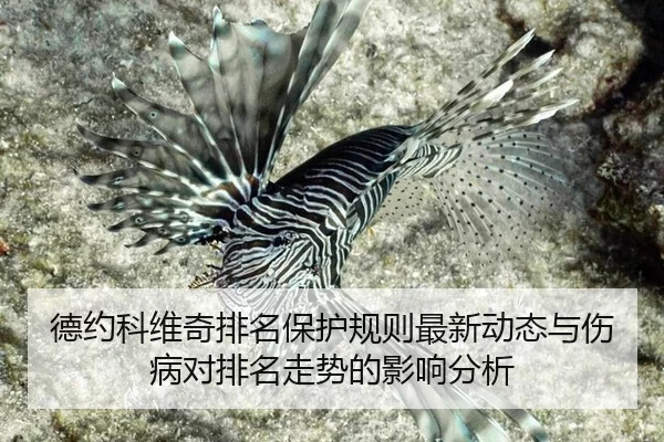 de-yue-ke-wei-qi-pai-ming-bao-hu-gui-ze-zui-xin-dong-tai-yu-shang-bing-dui-pai-ming-zou-shi-de-ying-xiang-fen-xi-2-616.jpg